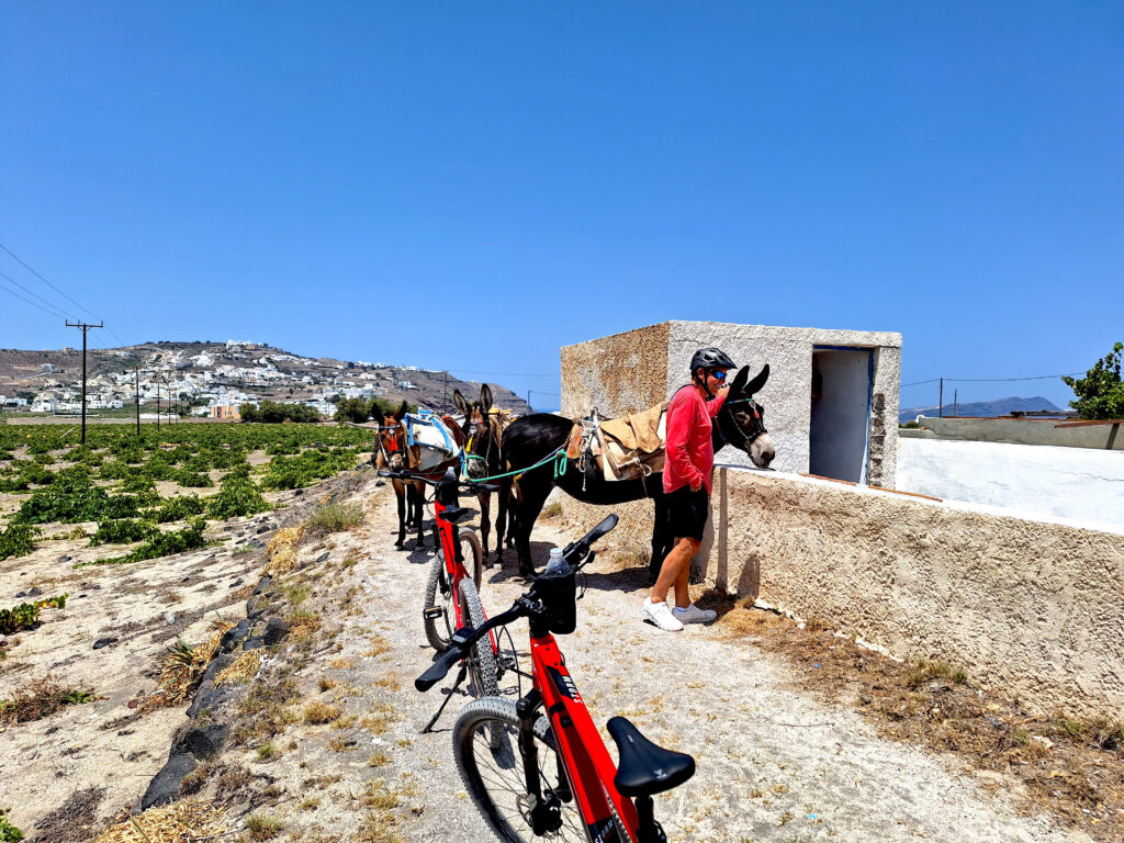 Bike-Tour-In-Santorini-3