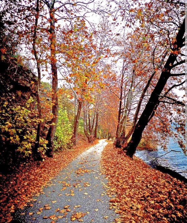 The-Lake-Tour-With-Bike-in-Kastoria-4
