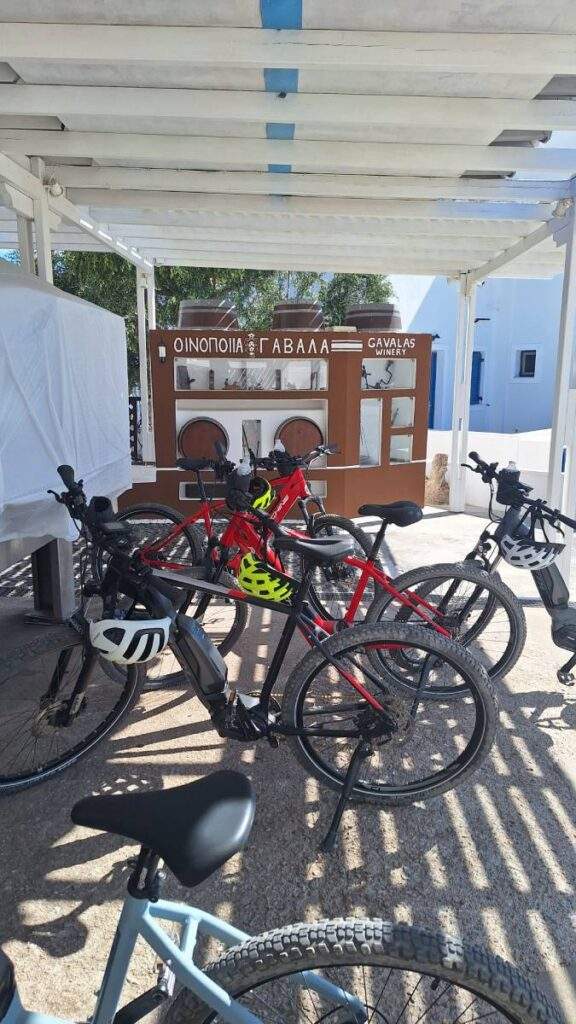 Santorini-e-bike-tour-Ride-the-Vines-red-grape-adventures